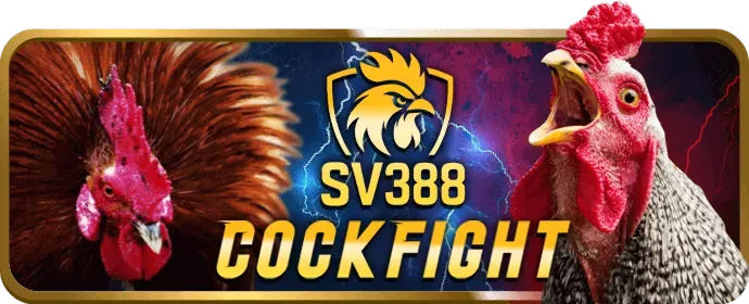 Mẹo cá cược thể thao 39bet12